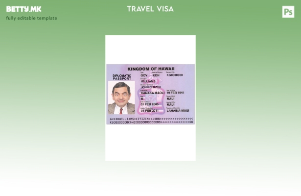 Шаблон за виза за Хаваи во модерен стил